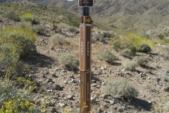 Araby-Palm Springs03