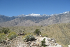 Araby-Palm Springs04