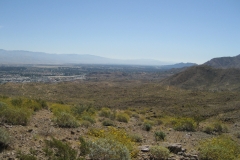 Araby-Palm Springs05