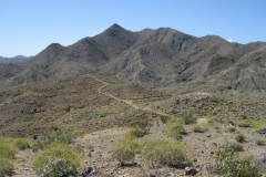 Araby-Palm Springs06