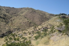 Araby-Palm Springs10