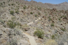 ArtSmith-Palm Desert-10