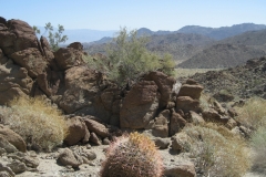 ArtSmith-Palm Desert-12