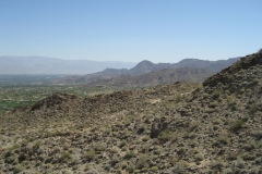 ArtSmith-Palm Desert-13