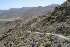 ArtSmith-Palm Desert-14