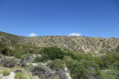 Horsethief Creek-Garner-01