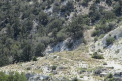 Horsethief Creek-Garner-04