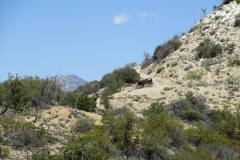 Horsethief Creek-Garner-06