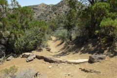 Horsethief Creek-Garner-07