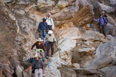 Indian Canyons-Palm Springs03