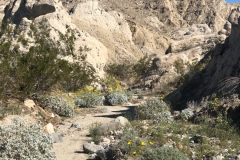 Indio Badlands-Indio-01