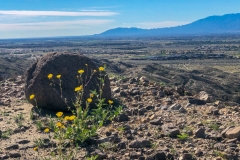 Indio Badlands-Indio-02