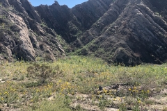 Indio Badlands-Indio-05