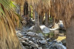 Kleckner-Murray-Canyon-stream