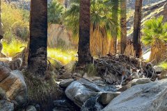 Kleckner-Murray-Canyon-stream2