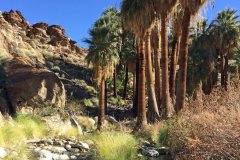 Kleckner-Murray-Canyon-stream4