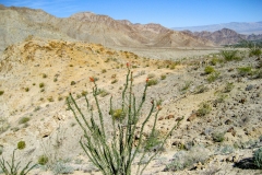 BumpAndGrind-to-Cross-06