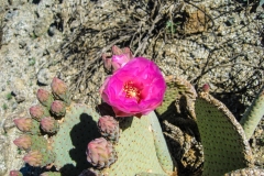 BumpAndGrind-to-Cross-07