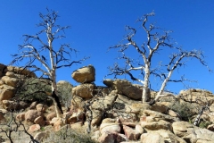Pipes-Cyn-Pioneertown-06