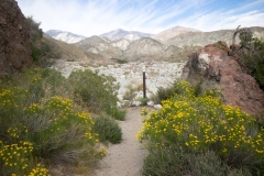 Whitewater-Palm Springs-08