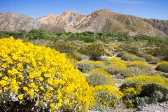 Whitewater-Palm Springs-11