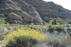 Whitewater-Palm Springs-12