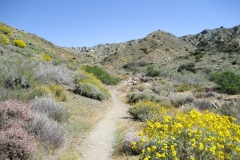 Whitewater-Palm Springs-13