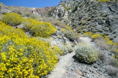 Whitewater-Palm Springs-14